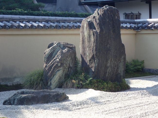 １０月２０日<br />過去何度も訪れた京都、<br />京都に来ると必ず訪ねるのが大徳寺である。<br />本願寺派が絶対他力ならば<br /><br />この臨済禅は、純粋自力道。<br />人間にまつわる煩悩を自ら自力で克服する、<br />それが<br />禅の本道である。<br /><br />特に大徳寺は、２１ある塔頭の内、<br />常時公開されているのは４つだけ。<br /><br />それも、最も世俗化している大仙院でもそうであるが、<br />誠に塔頭そのものが、悉く一級の美術館そのものである。<br />特に龍源院の清々しさと、石庭のなんとも表現し難い美しさは<br />際立っていると当方には思える。<br /><br />今回、通常非公開で世俗化を謝絶している黄梅院・興臨院・総見院の<br />3つの塔頭が揃って特別公開となった。<br />見ない手はあるまい。<br />中でも、小早川隆景黄梅院の庭の美しさは<br />聞くところによればえもいわれぬもの<br />だという、それが本当なのか確かめたくもあった。<br /><br />鎌倉末以来、紫野の大部分は大徳寺が占めるようになった。<br />大徳寺開祖,言わずと知れた宗峰妙超（大燈国師）、以来大徳寺住持には様々な僧が輩出。一休宗純・沢庵宗彭など枚挙に暇なしである。<br /><br />こんにちでも、大徳寺だけは山内の一部を除いて俗化を拒んでいる。<br /><br />大徳寺は、一休に参禅したという村田珠光から「茶」と深く関わるようになる。<br />｛大徳寺の「茶づら」｝といわれる所以である。<br /><br />村田珠光ーその孫弟子武野紹鴎ーその直弟子千利休ーその直弟子古田織部ーその直弟子小堀作介（遠州）と続くのを思うとき、<br />日本のわび茶は、正に大徳寺から起こったといっても過言ではないだろう。<br /><br />侘びとは、紹鴎によれば「正直に慎み深くおごらぬさま」<br />（秘録　山上宗二記）である。<br /><br />茶道具取り合わせは、<br />珠光によれば、<br />極めて有名たらしめた<br />「わらやに名馬繋ぎたるがよし、　<br />そそうなる座敷に名物置きたるがよし、<br />　風体尚以て面白きなり」<br />（秘録山上宗二記）である。<br /><br />他にキーワードとして、臨済禅では、大本山として<br /><br />建仁寺ー臨済最古の寺、開祖言うまでもなく栄西、京都地元人は、<br />　　　　ケンネジさんと呼ぶらしい。建仁寺の学問づら<br /><br />南禅寺ー石川五右衛門の山門でも有名である。臨済でも格式は　　<br />　　　　最高だと言われるが。<br />東福寺ー珍しくも公家の保護を受けた禅の大本山。<br />　　　　東福寺のがらんづら。<br />天龍寺ー尊氏が南朝後醍醐天皇の冥福を祈り建てた、謂わば室町幕府<br />　　　　官立寺。天龍寺の武家づら。<br />妙心寺ー１４C花園天皇が花園の地名を愛し、建立。<br />　　　　妙心寺だけは、臨済宗には珍しく臨済宗全体のために、大学<br />　　　　を経営。妙心寺のそろばんづら。<br /><br /><br /><br /><br /><br />