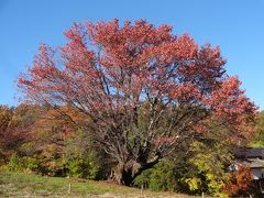 晩秋の至仏山（尾瀬）と片品の紅葉