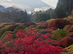 箱根「山のホテル」紅葉と富士山の絶景