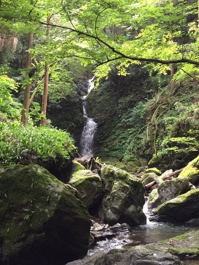 四国の山里で元気のある町《神山町》IT企業が相次いでサテライトオフィスを開き、若者たちが移住している。古民家リノベーションで懐かしさと斬新さの両方感じられるカフェが魅力的で生き生きした町へと変貌している。