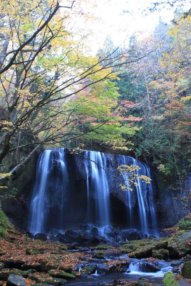 磐梯方面の紅葉の滝巡りの旅へ。<br />4つの滝を巡る予定だったのですが、時間があったので、檜原湖一周と紅葉の中津川渓谷も見て回りました。