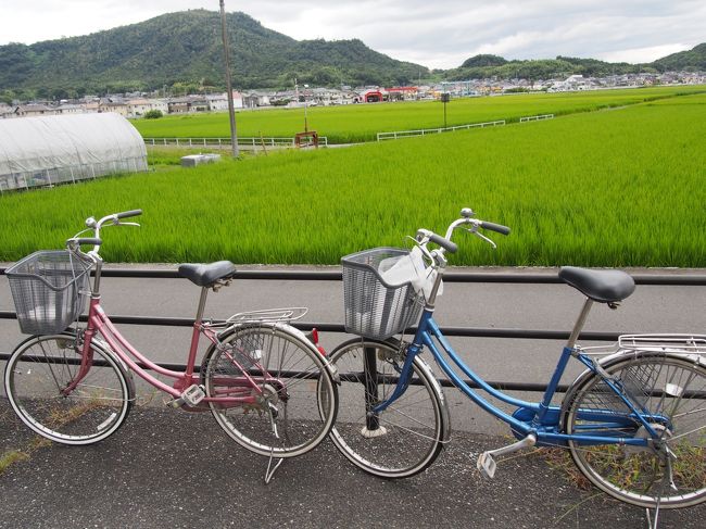 総社市には気持ちよく走れる吉備路自転車道という約20kmほどのサイクリングロードがあります。<br />http://www.city.soja.okayama.jp/shoukou_kanko/kanko/kanko_taiken/kibi_jitensya.html<br /><br />ということで天気が落ち着いていて暑くもなく、寒くもない心地良い日を見計らって行ってきました。<br />観光もしながら街並みを感じられる！<br />総社駅でレンタサイクルし、一宮駅まで走ってそこで乗り捨て。<br />相互で乗り捨てられるのでどちらから借りても良いと思います。<br />逆方向で走っている人も何人か見かけました。