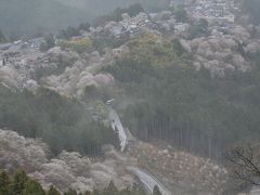 人生最大ロングドライブ旅行となりました！横浜～宮崎④　宮崎から桜の吉野山そして横浜帰宅