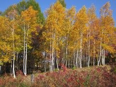 奥会津の紅葉を巡る旅、前編（田島道の駅～たかつえ）