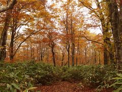 紅葉の群馬の山歩き♪紅葉も真っ盛りの 皇海山と武尊山登山