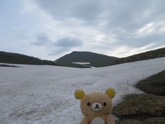 層雲峡～旭岳温泉まで大雪山横断するクマ　黒岳石室～姿見駅まで前篇