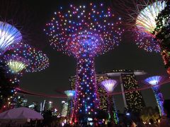 シンガポール旅行記（４）伝統と最新鋭・２つの巨大植物園