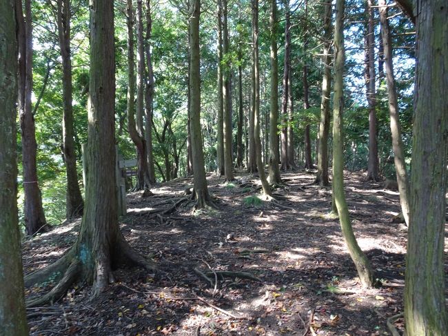 秋の丹沢にハイキングに行きました。<br />バスで広沢寺温泉に向かい、沢沿いを歩き日向山に登って日向薬師に降りて行きました。<br />紅葉にはまだ早く彼岸花は終わっていましたが、天気もよく気持ち良く歩けました。<br />ガイドブックに記載されたコースを歩きましたが、出発地には色々な店がありましたが到着地には小さな売店しかなかったので、逆コースにすればハイキング後の食事が楽しめたと思います。