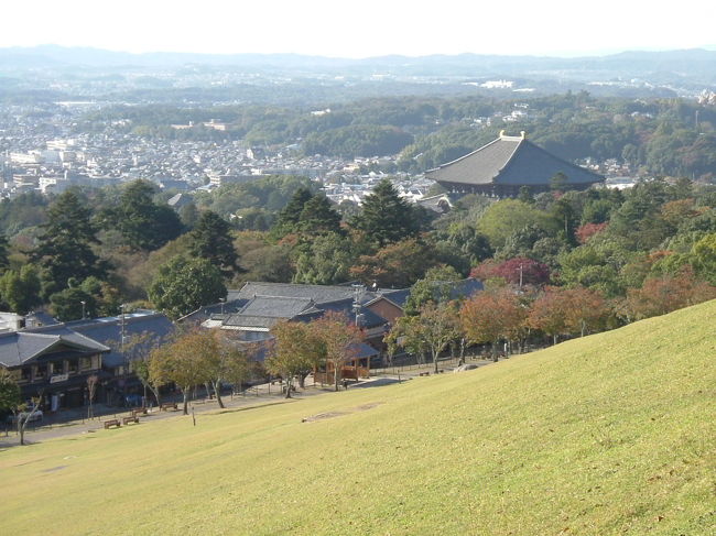 長年、奈良に住んでいながら、若草山からの風景がこんなにも綺麗だとは知らなかった。秋は格別だ、と認識を新たにした。<br /><br />奈良公園、春日山原始林では、モミジはまだまだで、11月中旬ぐらいにならないと赤く染まらないだろう。いま見頃なのは、赤く紅葉したナンキンハゼ。そして、やはりサクラの葉が色づいているのが、目立つ。その他、イチョウ、イヌシデ、アカシデが紅葉している。<br /><br />今回、参考にしたハイキング・コースは、JR西日本の奈良観光ガイドブック2015秋号に掲載されている「水谷神社から若草山登頂コース」約6キロ、所要時間約2時間。<br /><br />実際には、近鉄奈良駅から奈良公園、大仏殿、二月堂を回って、スタート地点に行き、下山してJR奈良駅に戻ったので、4時間ほど歩き回った。<br /><br />まずは、腹ごしらえから...。