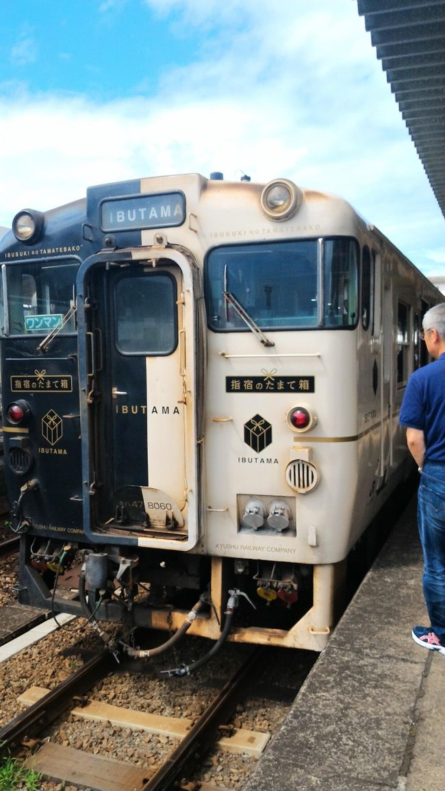 新潟に帰省していましたが。諸事情により急遽東京へ車で戻り、すぐさま鹿児島（両親の実家・指宿）へ飛ぶことになりました。<br />あまりに慌しく、めまぐるしく、あっという間ではありましたが、どうにかして行けたので、自分なりに気持ちも整理できたのでよかったかなと思います。<br />小学生の頃は、お盆のたびに帰省していた記憶がありますが、最後に行ったのは息子が0歳のとき。皆が帰省して集合するわけでもないので、今回20年ぶりくらいにあういとことか、本当に懐かしく、これもまたよい機会ではありました。<br />それだけでも十分の今回の鹿児島滞在でしたが、せっかくなので、最後に砂蒸し風呂と、行き帰りともバスも味気ないと思い、帰りの空港までは、観光列車「指宿のたまてばこ」に乗って向かってみました。<br />そんなわけで、主に最終日のほんの少しの観光記録です。