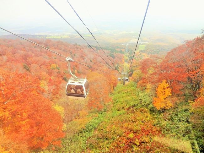 紅葉の見頃を迎えた東北南部と那須高原を目指して、1泊2日の紅葉ドライブへ行ってきました。<br /><br />1日目の目的地は、蔵王エコーラインと磐梯吾妻スカイライン。<br />両方とも今年のゴールデンウィークに訪問を検討していましたが、火山活動のため通行止めになっていて訪問できず。<br />約半年たって紅葉の時期にあらためて訪問することにしました。<br /><br />2日目の目的地は那須高原。<br />マウントジーンズの紅葉ゴンドラに乗って空中から紅葉を愉しみます。<br />南ヶ丘牧場やチーズガーデン五峰館なども併せて訪れます。<br /><br />3箇所とも山頂付近の紅葉の見頃は過ぎていましたが、中腹付近では真っ赤に染まった紅葉を目にすることができました(^^)<br />訪れた場所それぞれで違った風景を見ることができて、充実の2日間でした。