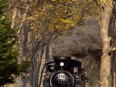 秋の北海道、道東地方を巡る旅 ～紅葉の中を走る北海道遺産森林鉄道「雨宮２１号」を見に、丸瀬布いこいの森に訪れてみた～