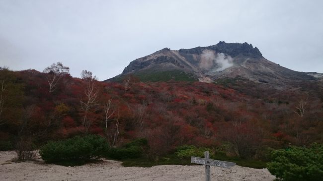 10月の連休初日、紅葉を見に那須岳に行ってきました。<br /><br />8月に木曽駒ヶ岳の初登山で、高い山はやっぱりたいへんだ〜って反省したくせに、山の紅葉が見たくなって、最近はすっかり登山モードです。<br /><br />那須岳は活火山なのですね〜。もくもくとあがる蒸気や、荒々しい山肌が迫力ありました。紅葉は、上の方はピークは過ぎてましたが、ロープウェーからみる紅葉が見事でした。<br /><br />この時期の那須は渋滞も有名らしく、ロープウェー乗り場の少し手前から渋滞にはまりました。駐車場がいっぱいになってしまうらしく、路上駐車がずーっと続いてるのにはびっくり。<br /><br />今回のスケジュールはこんな感じ<br />　08:00頃　新幹線で那須塩原駅着、バスでロープウェー乗り場へ<br />　10:00頃　ロープウェー山麓から山頂駅へ約6分<br />　10:30頃　登山開始<br />　　　〜茶臼岳山頂（休憩）<br />　　　〜峰の茶屋の手前<br />　　　〜牛が首<br />　　　〜姥ヶ平（ここでお弁当タイム）<br />　　　〜牛が首<br />　　　〜巻き道<br />　　　〜ロープウェー乗り場に戻る<br />　13:00頃　ロープウェー山頂から山麓駅へ<br />　14:10頃〜　バスでロープウェ−山麓駅から那須湯本へ<br />　14:50頃〜　鹿の湯へ<br />　16:50頃〜　バスで那須湯本から黒磯駅へ<br />　17:40頃〜　黒磯駅から帰りは普通電車で帰宅<br />