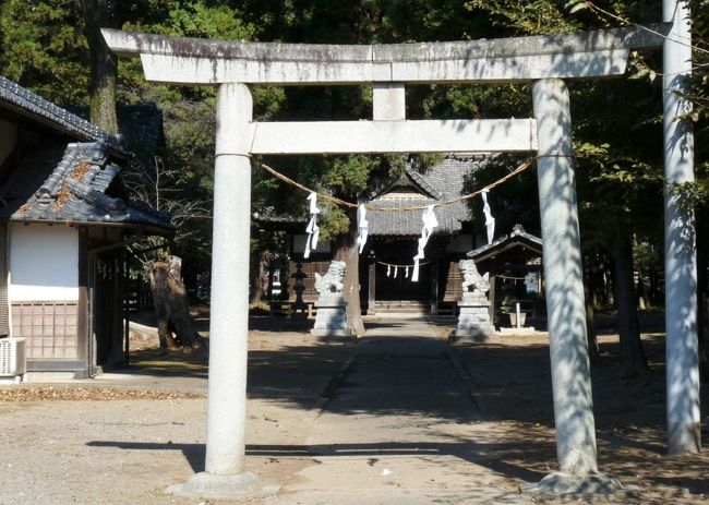 群馬県太田市の龍舞町の賀茂神社です。<br />半月ほど前に訪れた際に、上から２番目の横方向部材（「貫（ぬき）」というらしい）が柱の外側へ突き出ていない鳥居が気になったので、再度、訪ねてみました。<br /><br />ネット情報によると、<br />この鳥居は、<br />上の横方向部材（二重になっている上が「笠木」、下が「島木」という）が上に反っている（「反増」）ことと、「貫」が角棒で柱との結合部に楔がないことから「中山鳥居」と呼ばれるようです。<br /><br />この地名は「龍舞（りゅうまい）」ですが、駅名（東武鉄道小泉線）は「竜舞（りゅうまい）」です。辰年になると話題になり、切符が売れたりするようです。<br /><br />