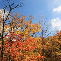 秋の道央　紅葉とグルメ旅　（3）秋深い層雲峡とフラテッロ・ディ・ミクニのランチ　