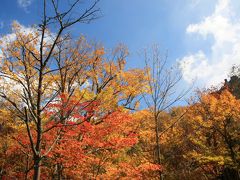 秋の道央　紅葉とグルメ旅　（3）秋深い層雲峡とフラテッロ・ディ・ミクニのランチ　