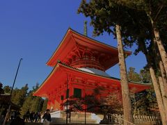 旅するイルカ♪　紅葉狩り　高野山へ