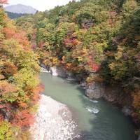 ～福島～栃木～群馬～紅葉狩り