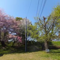 2015 久しぶりの山形アウェイ遠征【その４】山形駅前周辺散策・霞城公園