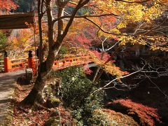 京都で一足早く堪能できる高雄の紅葉！西明寺・神護寺