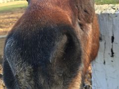 2度目の旭山動物園と箱根牧場へ遊びに行こう　Vol.1