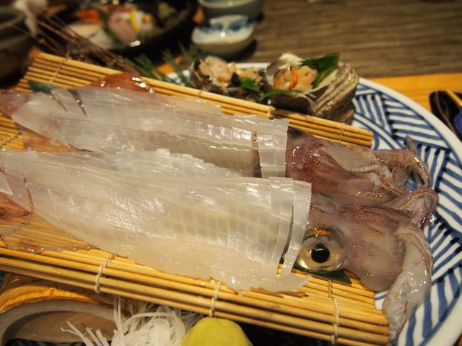 二日市温泉から有田へ向かいます。<br /><br />それにしても二日市の温泉はすばらしかった。<br />今まで各地の温泉に入浴しましたが、泉質は一番かも知れません。<br /><br />後ろ髪惹かれる思いで有田に向かいます。<br /><br /><br />ところで、ガイドブックによっては佐賀県自体が掲載されていないものもあり、佐賀の情報が本当に少なくほとんど4トラで情報収集させていただきました。<br /><br />佐賀にお住いの方々、旅行記をUPされている方々、本当にお世話になりました。佐賀は良いところでした!<br /><br />この場を借りてお礼申し上げます。<br /><br /><br />part1 http://4travel.jp/travelogue/11064102<br />part2 http://4travel.jp/travelogue/11064900<br />part3 http://4travel.jp/travelogue/11069800<br />part4 http://4travel.jp/travelogue/11069471<br />