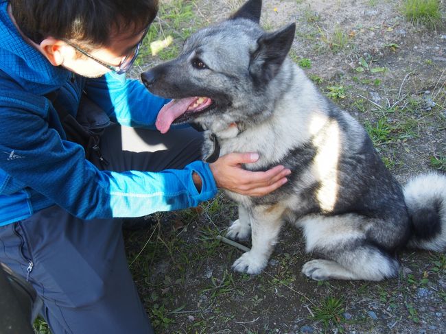 湖畔のコテージでのんびりゆったり、ブルーベリーも摘んでサウナにも入り、連日のオーロラ鑑賞と贅沢な休日を過ごしましたが、この素敵なコテージとお別れしてロヴァニエミへ戻ります。<br />あゝ、帰りたくない！もっとコテージに居たいなぁ。<br />名残惜しいですが、スタッフの方々にご挨拶をして、出発しました。<br /><br />当初の予定ではロヴァニエミで早めのランチ、その後ラヌア動物園に行くつもりでした。<br />でもコテージでぐずぐずしていて出発が遅くなり、ランチが済んだのが午後1時を過ぎてしまい、5時には車を返却しなくてはいけないので、動物園を見てまわる時間があまり無いと判断して、予定変更。<br />ロヴァニエミの市内を散策しました。<br /><br />ロヴァニエミ最後の夜、見納めに再びオウナスバーラの丘へ。<br /><br />宿泊     シティホテル<br />http://www.cityhotel.fi/en/<br />