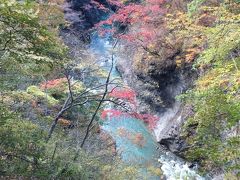 吾妻渓谷 紅葉 2015 群馬県民の日