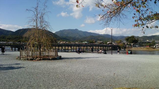 紅葉の始まりを求め、嵐山嵯峨に再び参りました。<br /><br />トロッコ列車に保津川下りでぶーらりと、<br />お腹すいたら湯豆腐を頂いて、スーパー銭湯天山の湯でほっこりと。<br /><br />締めは京都駅にむかい第一旭のラーメンで。<br />京都嵐山を満喫してきました。