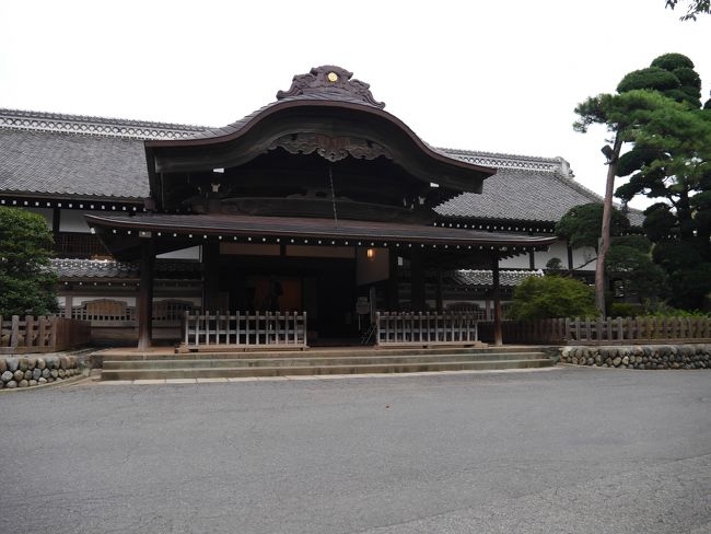 蔵造りの町並みの他、氷川神社や川越城本丸御殿にも足を運んでみました