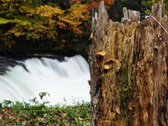 2015秋・北海道　道東紅葉旅・3 神の子池＆さくらの滝 