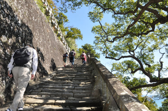 　退職したら混雑を避けて平日に旅行を、と考えていたのですが、年金暮らしでは高速道路の休日割引を無視できず、やっぱり休日に移動するのが我が家の現実です。<br />　今回は静岡県の久能山東照宮に行こうということで、１０月の土・日を計画しましたが、あいにく日曜日は雨の予報。雨の中、長い石段を上り下りするのはどうも・・・という訳で、日・月に変更。　もちろん月曜日が体育の日で割引になることは計算済みです。<br />　結果はこれが大当たりで、サービスエリアでお相撲さんに遭遇しました。最初の予定どおりだったら遭えなかったわけですから、人生、何が幸いするか分からないものですね。