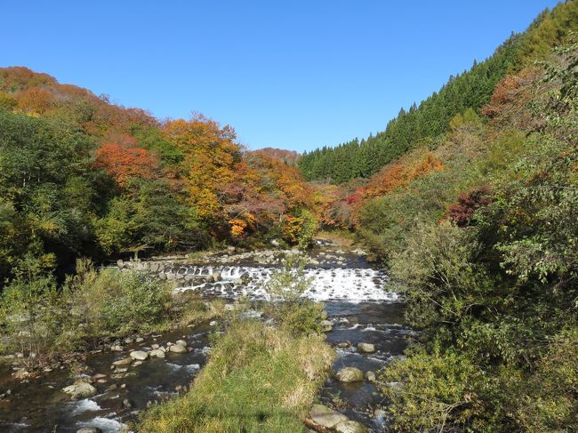 弘前から八甲田山～奥入瀬渓谷～十和田湖を巡り<br />岩手県・平泉に向かいます。<br />紅葉の中をドライブしました。