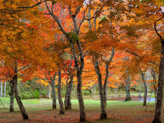 2015紅葉めぐり（福原山荘・然別湖）