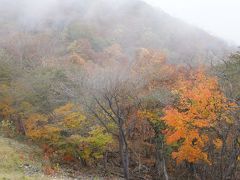 日光紅葉のたび