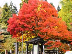 真っ赤な楓の絨毯に彩られる紅葉の名所「土津神社」の美しさに感動しました。