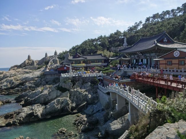 朝早くに甘川洞の景色を満喫した後は、海雲台でキンパのランチをして、龍宮寺へと向かいます。<br />まるで龍宮城のようなこのお寺、韓国人観光客がいっぱいでした。<br />