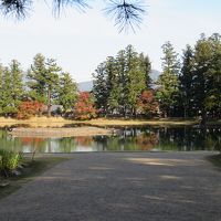 みちのくの紅葉を求めて・・・平泉～盛岡～田沢湖へ