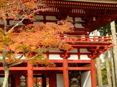 高野山の紅葉