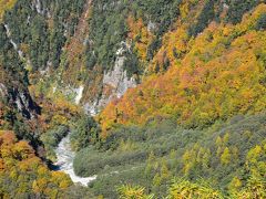 黒部ダム周辺の色鮮やかに染まる紅葉（富山）