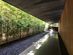 スロベニアの友人が来日☆お次は東京観光＆食べ歩き～浅草寺・銀座・根津美術館～