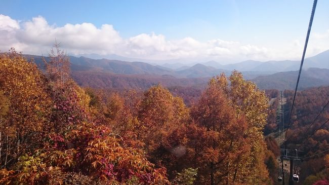 ダーから突然誘われて‥<br />初めてスキー場のゴンドラに乗りました。<br />グランデコスキー場 パノラマゴンドラ往復1,620円。
