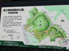 神奈川県立東高根森林公園