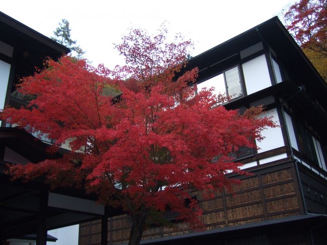 信州の紅葉を巡るツアーで、白骨温泉を初訪問しました。<br />幸いにも紅葉が見頃で、景色も温泉も堪能しました。<br />