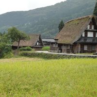 ローカル鉄道とバスで巡る富山の海と山（２日目）