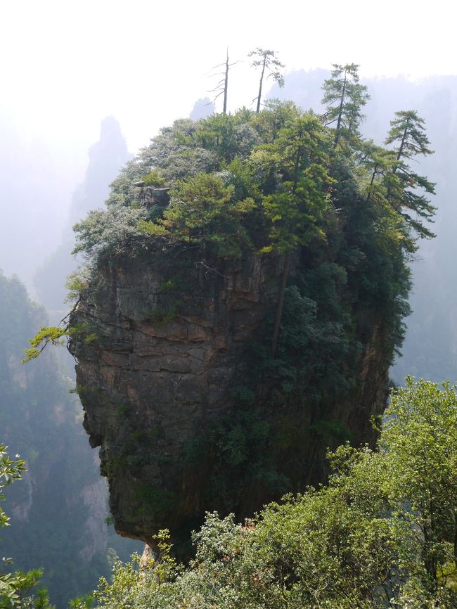 『世界遺産武陵源・美しき鳳凰古城と圧巻の天門山絶景紀行7日間』<br /><br />というクラブツーリズムさんのツアーに参加してきました。<br /><br />こちらのツアー 大人気ツアーやったみたいでキャンセル待ちもでてたみたい 今回は増員されて2組に別れてのツアーでした。<br />(このツアーにあぶれた人は他社さんでしぶしぶ来られてて<br />エレベーター内で羨望のまなざしを感じた 笑)<br /><br />見所は 映画「アバター」のモデルになったといわれる武陵源<br />(たぶん関係者が聞いたら 「は?なんのこと?」っていわれそうやけど)<br />これからメジャーでなるであろう鳳凰古城(せっかくの古城の雰囲気台無し感ひしひしやったけど…)<br />パッケージツアーでコンパクト且つ効率よく回ってきました日記。<br /><br /><br /><br />■行程■<br />1日目 関西空港→上海→張家界 飛行機で移動<br />2日目 張家界観光 世界一の長さのロープウエイ 武陵源へ移動<br />3日目 武陵源観光 OPで民族ショー見学<br />4日目 武陵源観光 鳳凰へ移動(バスで5時間)<br />5日目 鳳凰観光 夜は古城のライトアップ見学<br />6日目 バスで張家界へ 張家界→上海 飛行機で移動<br />7日目 上海→関西空港 飛行機で移動 帰国