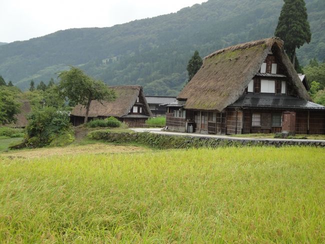 朝から雨の降るあいにくの天気の中、バスと列車を乗り継ぎ氷見から五箇山へ向かう。連休が終わった後とあってかどこも空いていた。