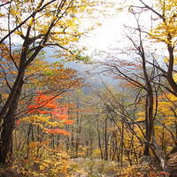 黄葉から紅葉へ山形、福島編