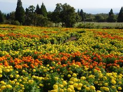 2015年10月 大分・くじゅう花公園