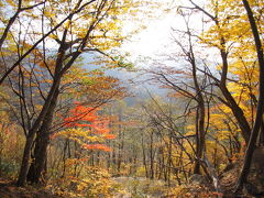 黄葉から紅葉へ山形、福島編